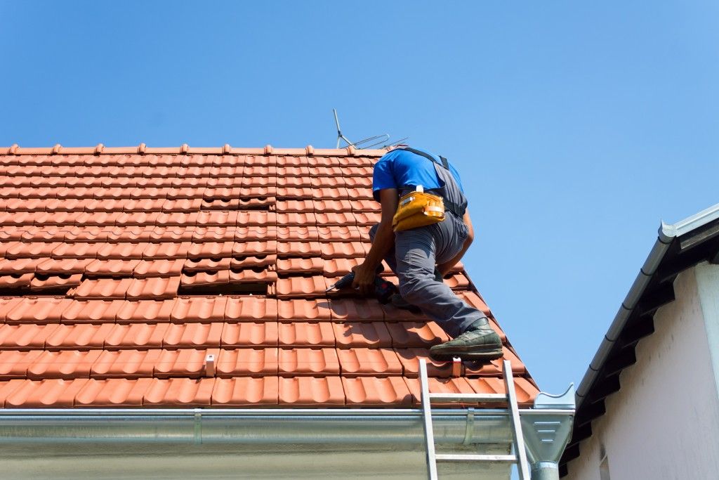 GL Painters fixing a damaged roof in Cape Town